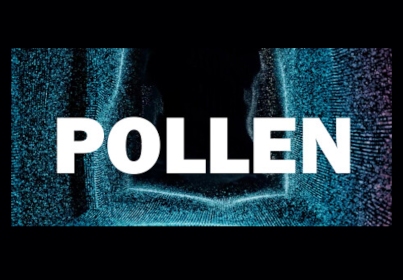Pollen PC Steam CD Key