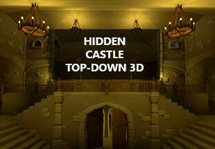 Hidden Castle Top-Down 3D PC Steam CD Key