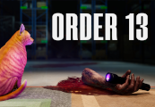 ORDER 13 EU PC Steam CD Key