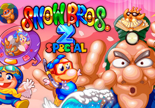 SNOW BROS. 2 SPECIAL PC Steam CD Key