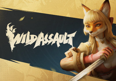 Wild Assault PC Steam Account