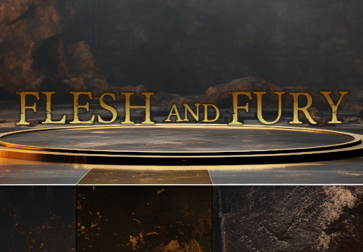 Flesh and Fury PC Steam CD Key