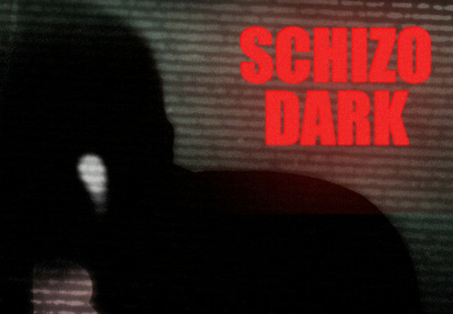Schizo Dark PC Steam CD Key