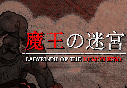 Labyrinth Of The Demon King PC Steam Account