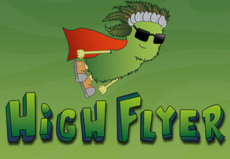 High Flyer PC Steam CD Key