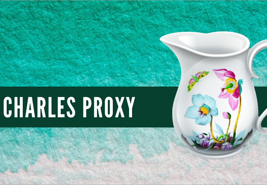 Charles Proxy 5 Key (Lifetime / 1 PC)