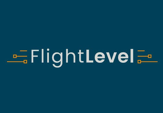 Flight Level PC Steam CD Key