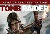 Rise of the Tomb Raider: 20 Year Celebration Edition TR XBOX One / Xbox Series X|S CD Key