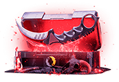 Covert VS. Knife Random CS2 Skin Case Dropland.net Key