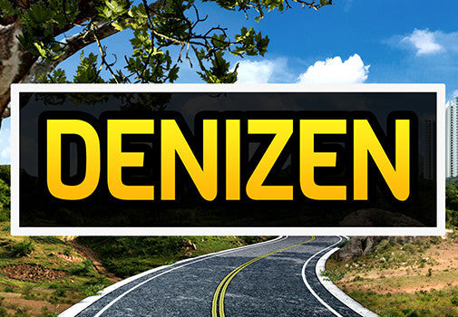 Denizen PC Steam Account
