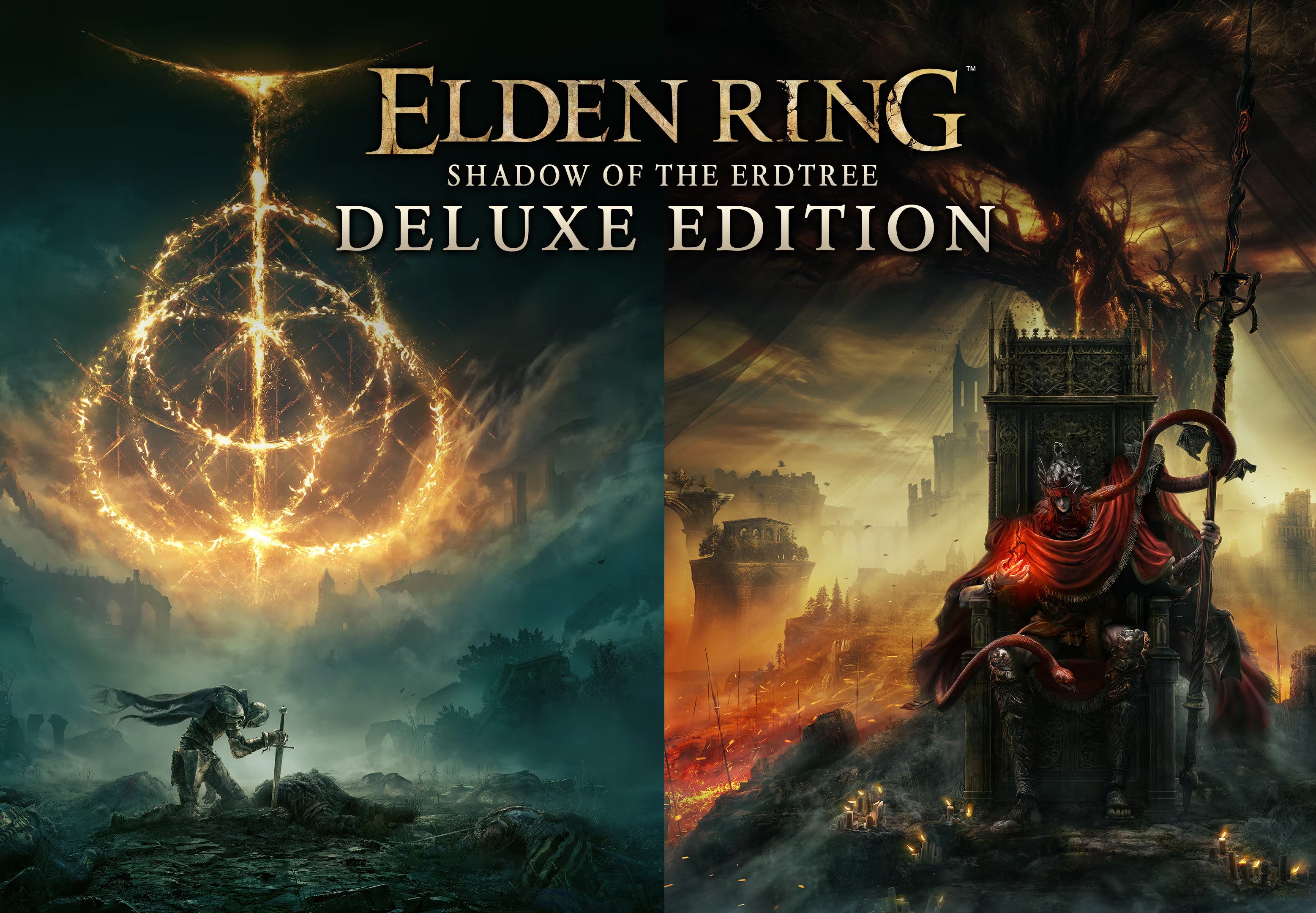 ELDEN RING: Shadow of the Erdtree Deluxe Edition Steam CD Key