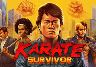 Karate Survivor EU PC Steam CD Key