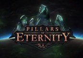 Pillars of Eternity Royal Edition EU Steam CD Key