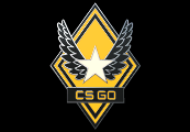 CS:GO - Series 1 - Victory Collectible Pin
