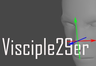 Visciple29er Steam CD Key