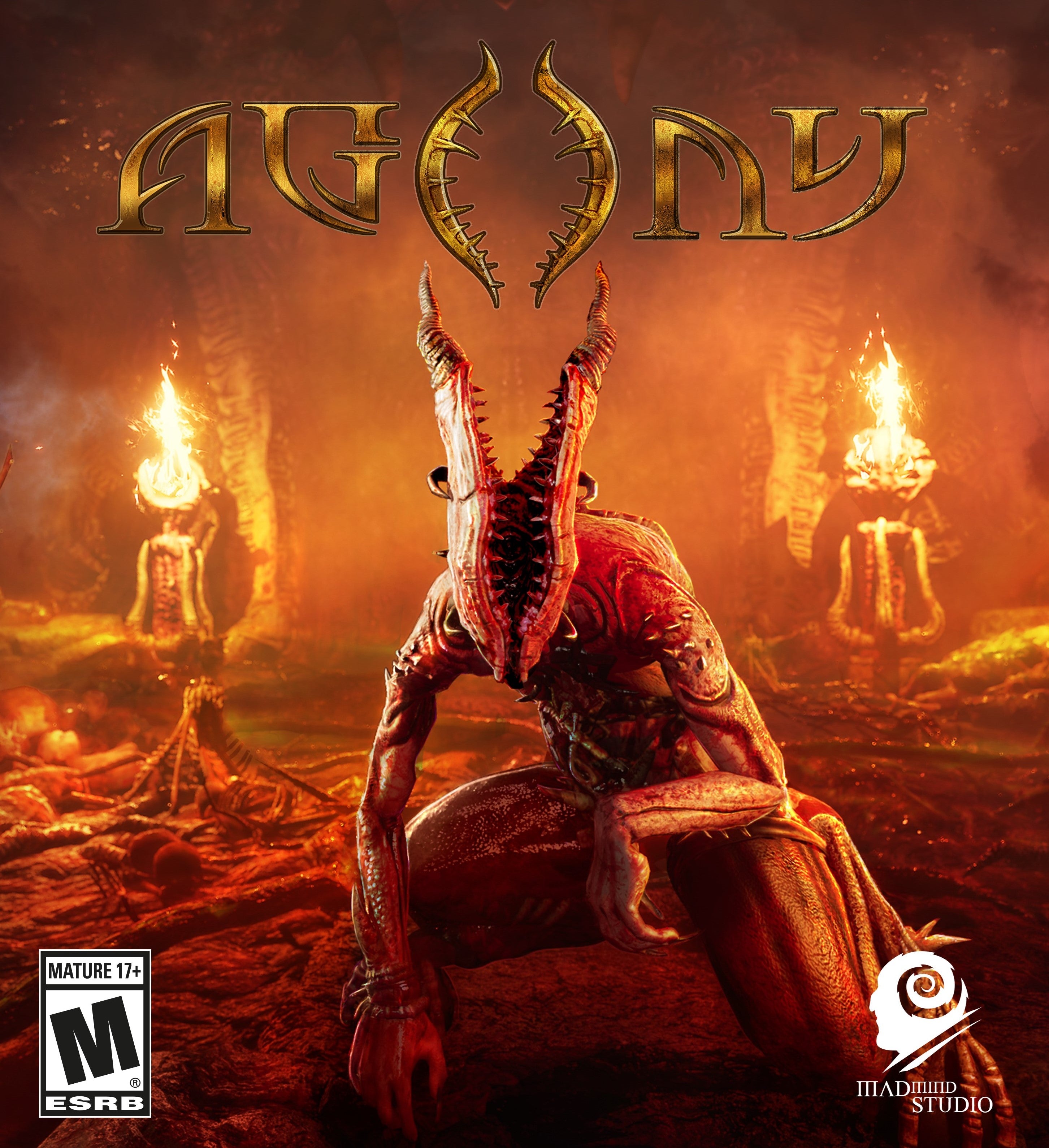Agony EU PC Steam CD Key