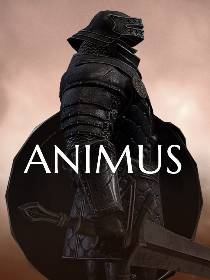 Animus - Stand Alone Steam CD Key