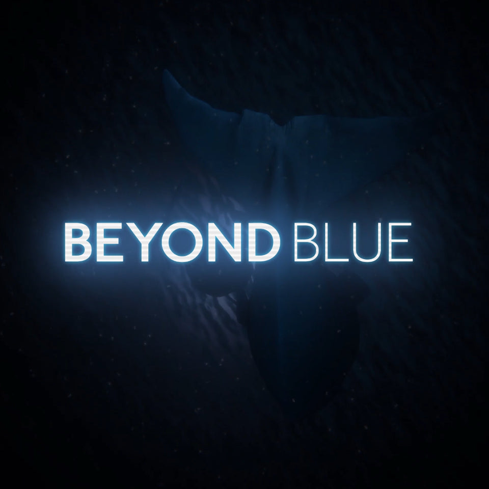 Beyond Blue Steam CD Key