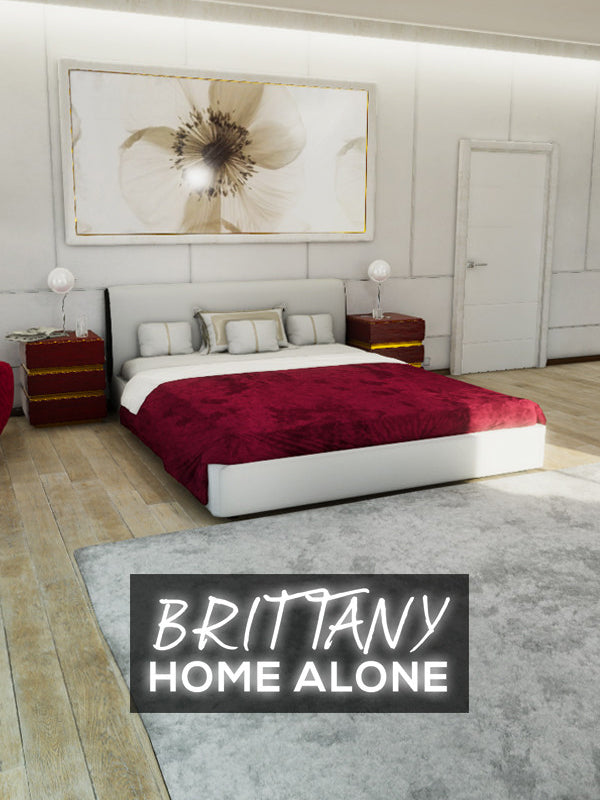 Brittany Home Alone Steam CD Key