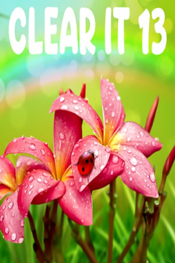 ClearIt 13 Steam CD Key