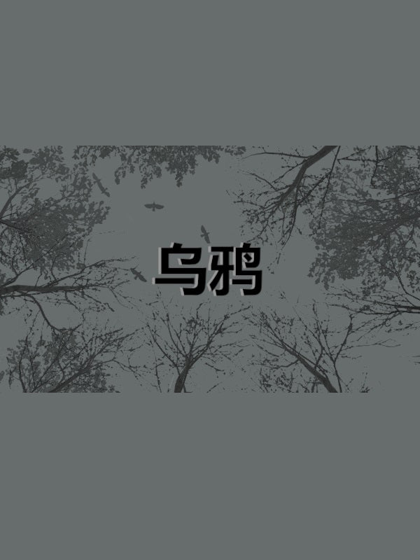 Crows - 乌鸦 PC Steam CD Key