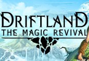 Driftland: The Magic Revival PC Steam Account