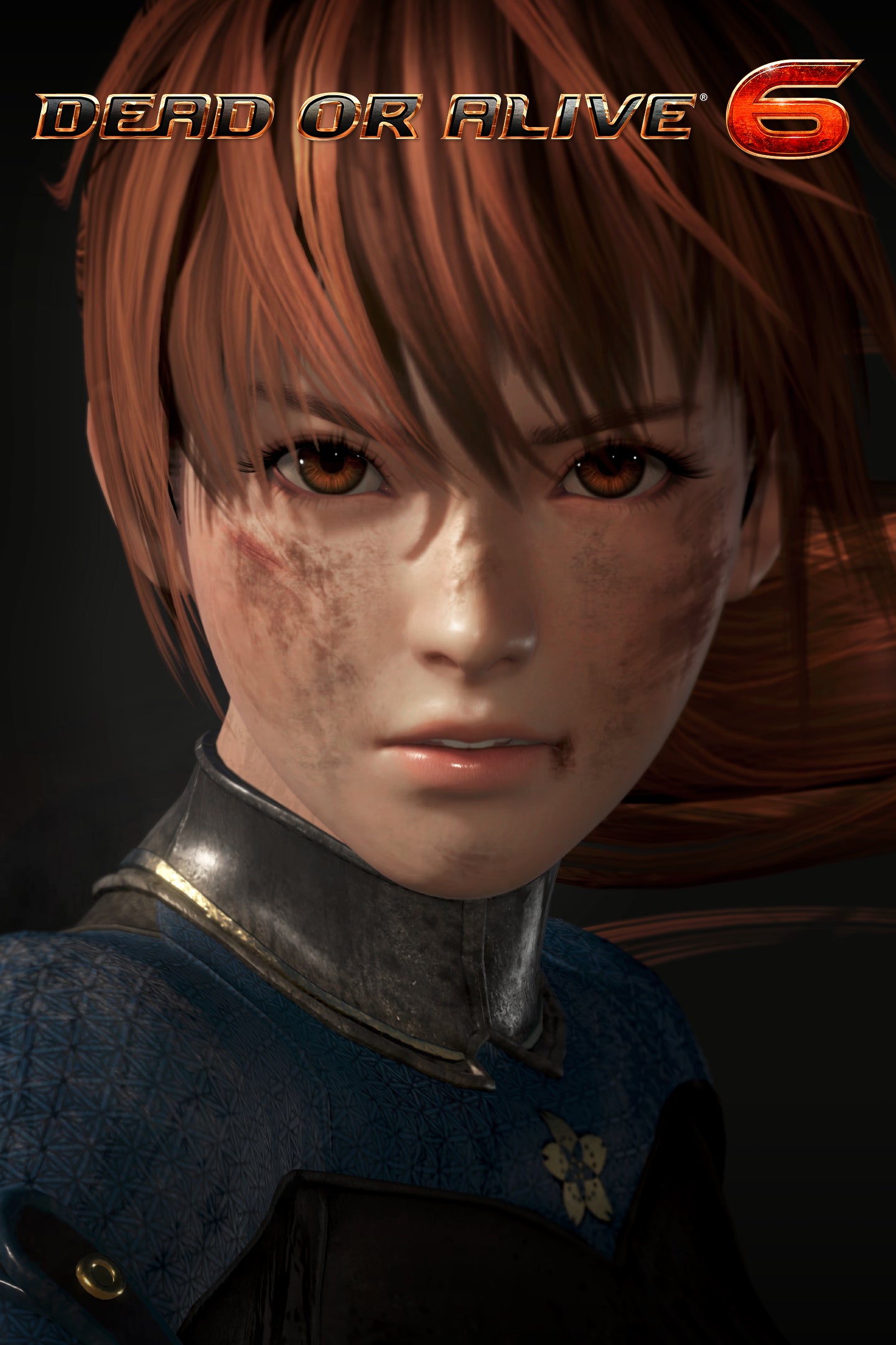 DEAD OR ALIVE 6 Digital Deluxe Edition Steam Altergift