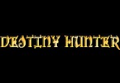 Destiny Hunter PC Steam CD Key