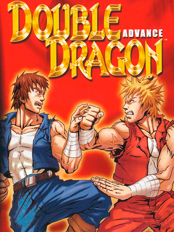 Double Dragon Advance AR XBOX One / Xbox Series X|S CD Key