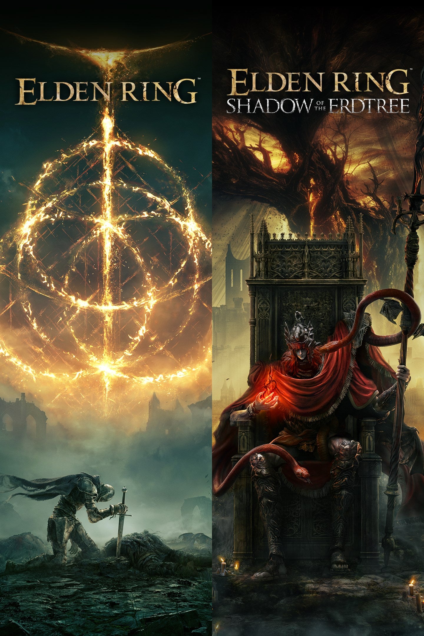 ELDEN RING: Shadow of the Erdtree Edition NA Steam CD Key