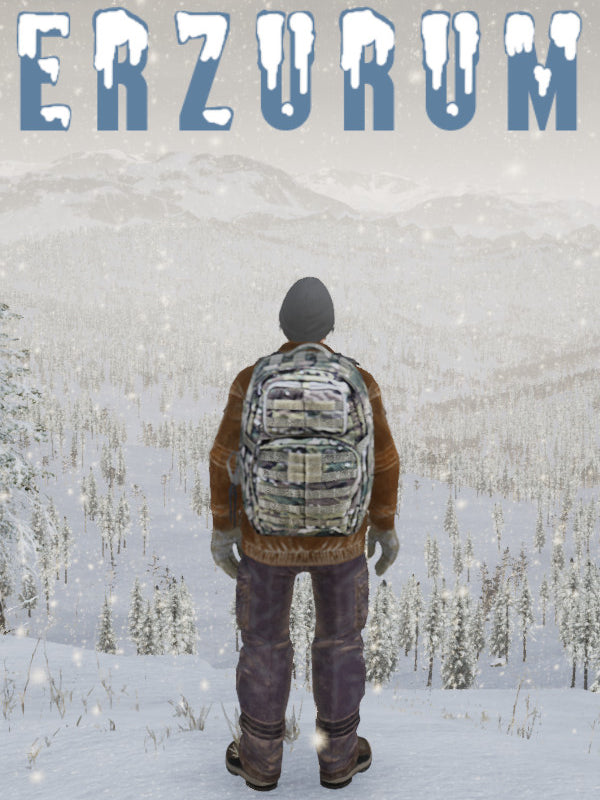 Erzurum Steam CD Key