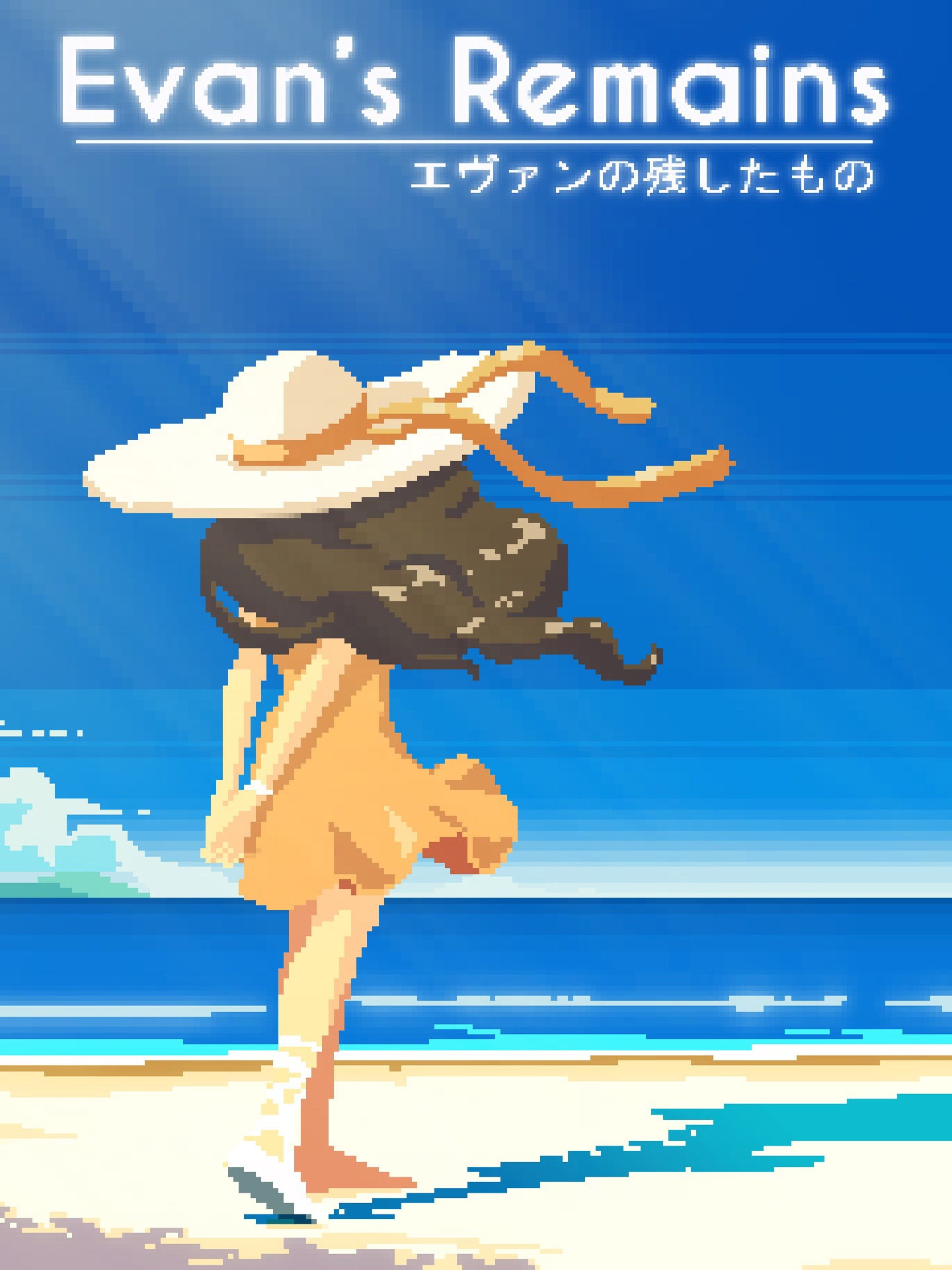 Evan's Remains Steam CD Key