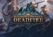 Pillars of Eternity II: Deadfire DE Steam CD Key