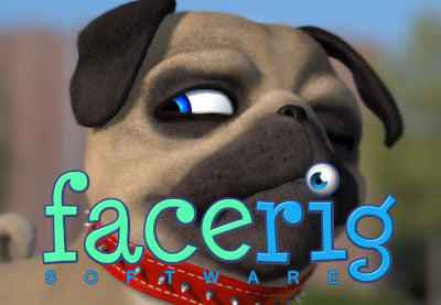 FaceRig - Julien the Pug Avatar DLC Steam CD Key