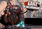 Borderlands 2 - Mechromancer Pack DLC PC Steam CD Key