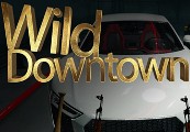 Wild Downtown Steam CD Key