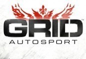 GRID Autosport RU Steam CD Key