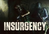 Insurgency PC Steam Account