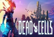 Dead Cells: Road to the Sea Bundle Steam Account