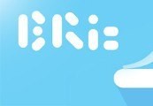 Bric - The Casual Indie Game Steam CD Key