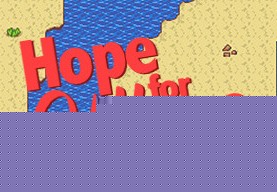 Hope For Village PC Steam CD Key