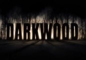 Darkwood Epic Games Account