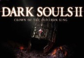 Dark Souls II - Crown of the Old Iron King DLC PC Steam CD Key