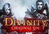 Divinity: Original Sin Digital Collector's Edition Single Pack Steam Gift