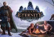 Pillars of Eternity: The White March Expansion Pass Steam CD Key