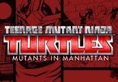 Teenage Mutant Ninja Turtles: Mutants in Manhattan - Samurai Pack DLC Steam Gift