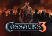 Cossacks 3 - DLC Bundle Steam CD Key