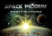 Space Pilgrim Episode III: Delta Pavonis EU PC Steam CD Key