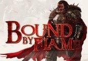 Bound By Flame PL Language Only Steam CD Key