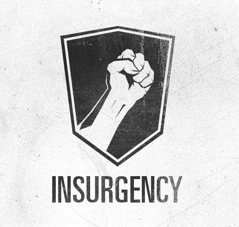 Insurgency Steam CD Key